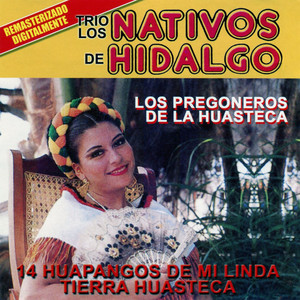 Tenango De Doria