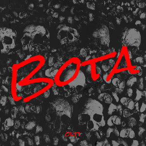 Bota