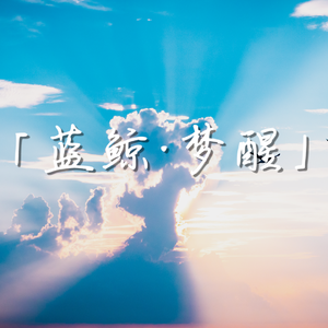 蓝鲸·梦醒