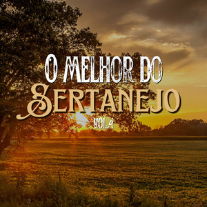 Não aprendi dizer adeus