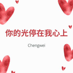 你的光停在我心上