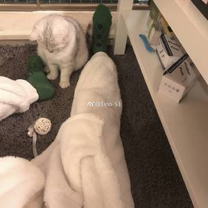 好嗨哦 感觉人生已经到达了高潮