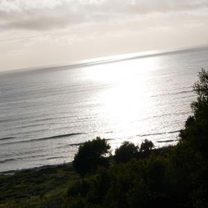 Castaway (Demo Version)