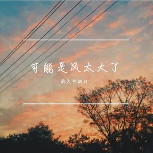 可能是风太大了