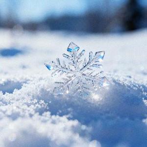 目及皆是你 (Cover 小蓝背心)