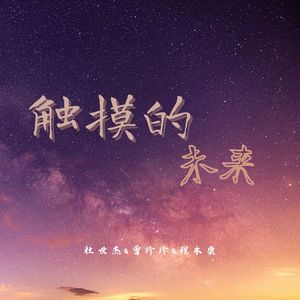 触摸的未来