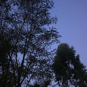 Jungle (Prod.by Sekoo)