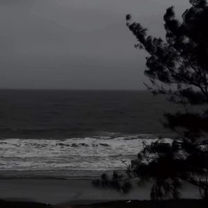 如果可以回到那天，我想----