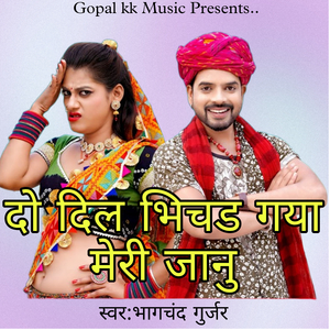 दो दिल भिचड मेरी जानु