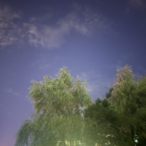 来不及爱你，春天已变成秋意