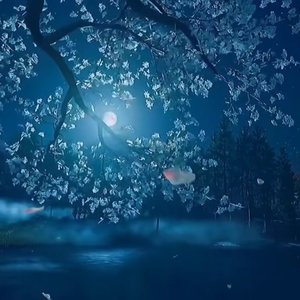 情劫难渡不退却