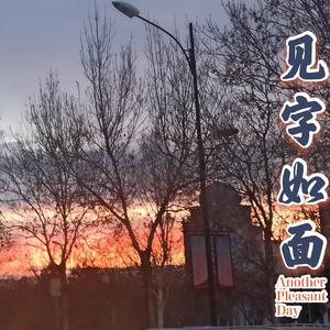 见字如面（Prod by. Nitemare$）