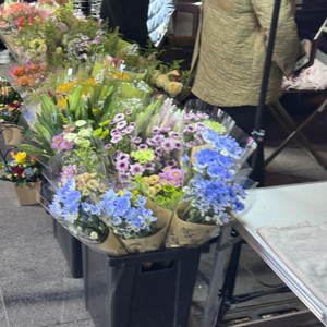 沉沦边界