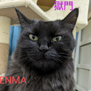 獄門 (Instrumental)