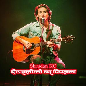 Deuraliko Bar Pipalma