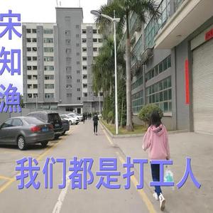 打工人的生活
