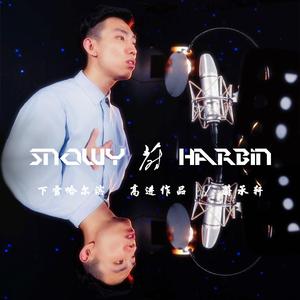 高进 / 高进 / 高进-下雪哈尔滨（翻自 高进）（蔚承轩 remix）