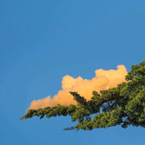 遥远的你_221小伙伴