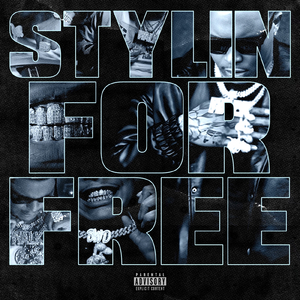 Stylin for Free