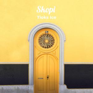 Skopi