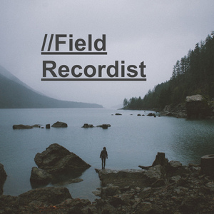 Forest Babbling Brooke in Stereo