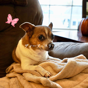 Classic Music for Golden Dreams