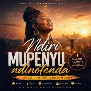 Ndiri Mupenyu (Ndinotenda)
