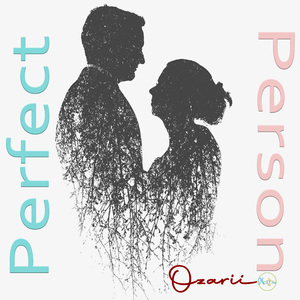 Perfect Person