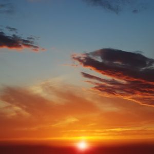 当入冬后的季节(1)