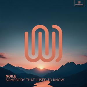 Somebody That I Used To Know