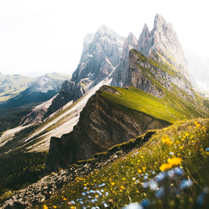 Cumulus Clouds Above