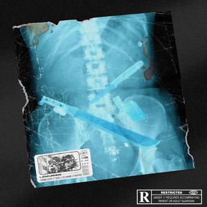 TEMPÉRATURE (feat. Lémurien)