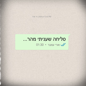 סליחה שעניתי מהר