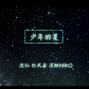 少年的夏