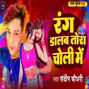 Rang Dalab Tora Choli Me