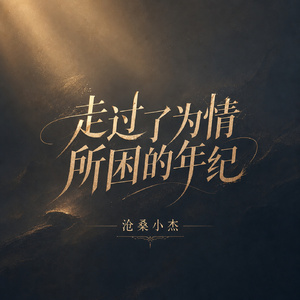 走过了为情所困的年纪