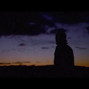 PIGEON（Demo）