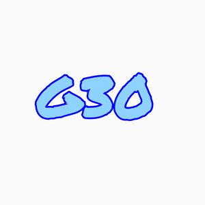 G30