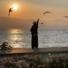 我才不会以爱之名困住任何人