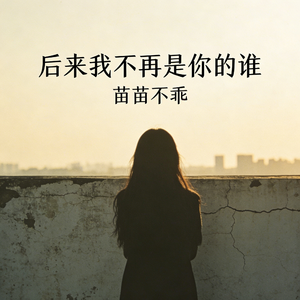 后来我不再是你的谁