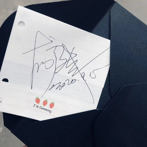 我想我应该不会爱你