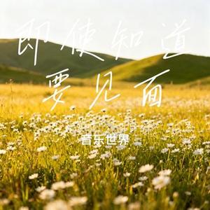 即使知道要见面 (音乐世界 Remix)