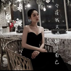 今夜我又喝醉了自己