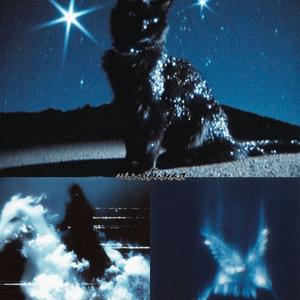 Nelubimaya (Hoodtrap)