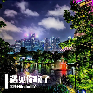 遇见你晚了（Pord. Red killer)