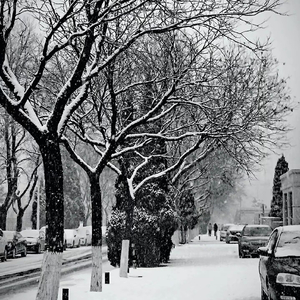 你说我们会永远