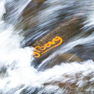 Psychedelic Wonderland (feat. The Bush-Wzrd)