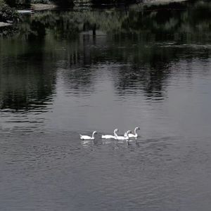 夏夜最后的烟火