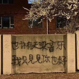 落在生命里的光