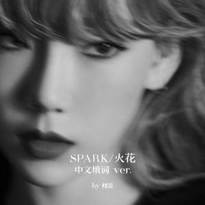 Spark/火花（中文版/纯人声）（翻自 泰妍）
